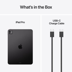 Apple iPad Pro 11'' Wi-Fi 256Go Noir