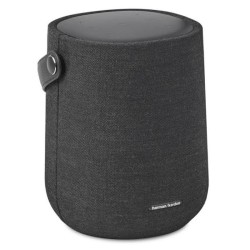 Haut Parleur Bluetooth Harman Kardon Citation 200