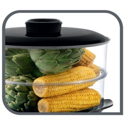 Cuiseur à Vapeur Tefal VC140131 900W