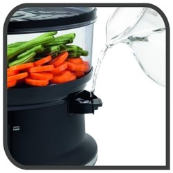Cuiseur à Vapeur Tefal VC140131 900W