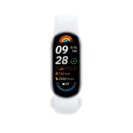 Montre Connectée Xiaomi Smart Band 9 - Silver