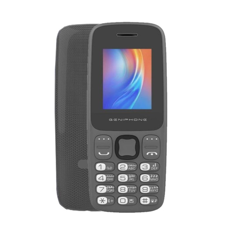Téléphone Portable GENIPHONE A2 Mini - Gris