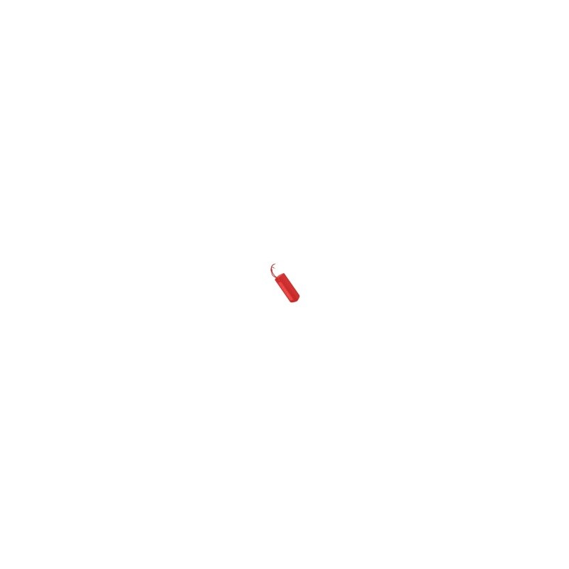 Mi Portable Bluetooth Speaker (16W) - Rouge